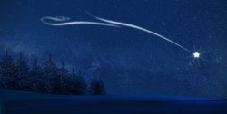 north star, stars, night, night sky, sky, trees, conifers, coniferous, conifer forest, starry sky, starry night, christmas background, christmas, christmas card, blue, nature, background, christmas background, christmas, christmas, christmas, christmas, christmas